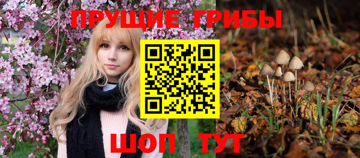 Новоуральск  Галлюциногенные грибы мицелий  купить   Вход с VPN 